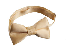 Load image into Gallery viewer, Solid Poly-Satin Bow Ties for Kids and Adults by Tuxedo Park - Tuxgear
