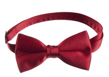 Load image into Gallery viewer, Men&#39;s Tuxedo Vest Fullback with Bow Tie - Bold Colors - Tuxgear